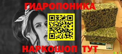 гидра Можайск