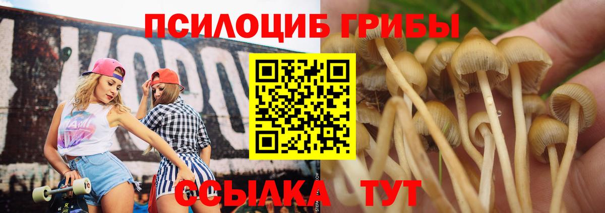 Псилоцибиновые грибы мицелий Щёлково